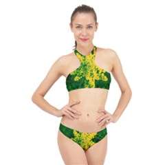 Yellow Sumac Bloom High Neck Bikini Set