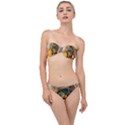 Pumpkin Vegetables Autumn Classic Bandeau Bikini Set View1