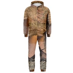 Night Moth Hooded Jumpsuit (men)  by Riverwoman