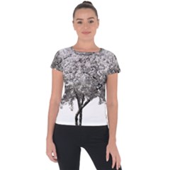 Nature Tree Blossom Bloom Cherry Short Sleeve Sports Top  by Sapixe