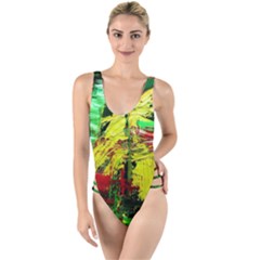 Revelation 1 5 High Leg Strappy Swimsuit