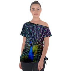 Peacock Colors Bird Colorful Tie-up Tee