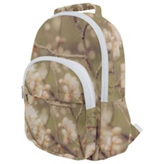 Sakura Flowers, Imperial Palace Park, Tokyo, Japan Rounded Multi Pocket Backpack by dflcprintsclothing