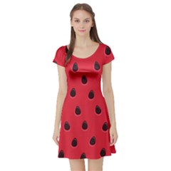 Seamless Watermelon Surface Texture Short Sleeve Skater Dress by Vaneshart