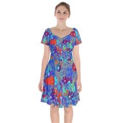 Cosmos Flowers Blue Red Short Sleeve Bardot Dress by DinkovaArt