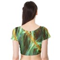 Abstract Illusion Short Sleeve Crop Top View2