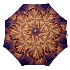 Sun Fractal Straight Umbrellas by Sparkle