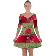 Photos Collage Coquelicots Quarter Sleeve Skater Dress