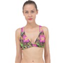 Jungle floral Classic Banded Bikini Top View1