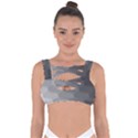 Wonderful Gradient Shades 2 Bandaged Up Bikini Top View1