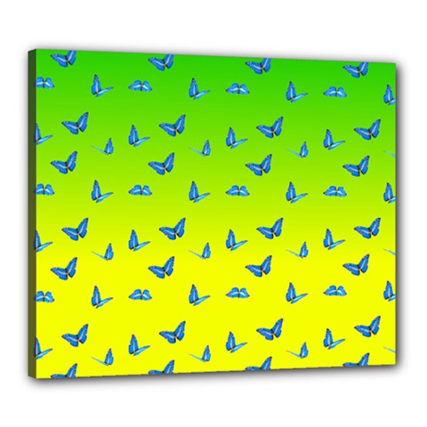 Blue Butterflies At Yellow And Green, Two Color Tone Gradient Canvas 24  X 20  (stretched) by Casemiro