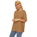 Gridline Tan Oversized Basic Tee View2