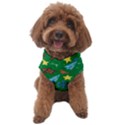 Gingy Green Dog Sweater View1