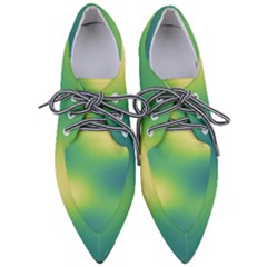 Gradientcolors Pointed Oxford Shoes by Sparkle