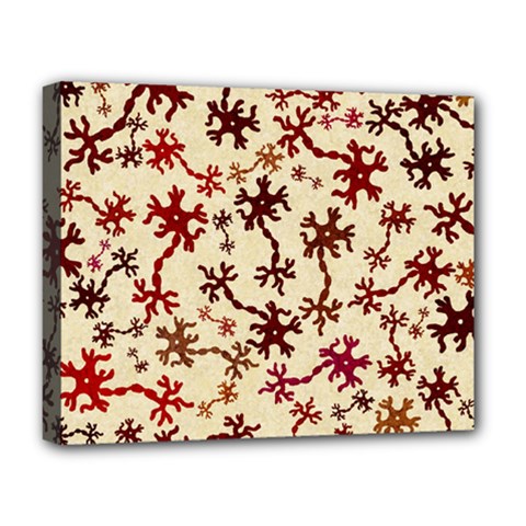 Neuron Nerve Cell Neurology Deluxe Canvas 20  X 16  (stretched) by Ravend