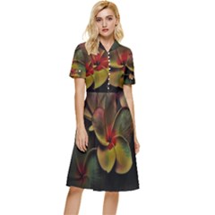 Beautiful Floral Button Top Knee Length Dress by Sparkle