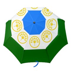 Bashkortostan Flag Folding Umbrellas by tony4urban