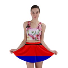 East Frisia Flag Mini Skirt by tony4urban