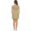 Sand	 - 	V-Neck High Waist Chiffon Mini Dress View4