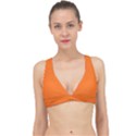 Pumpkin Orange	 - 	Classic Banded Bikini Top View1