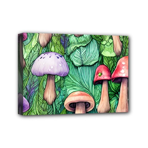 Tiny Toadstools Mini Canvas 7  X 5  (stretched)