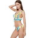 Pattern 42 Low Cut Ruffle Edge Bikini Set View2