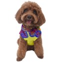 Explosion Big Bang Colour Structure Dog Sweater View1