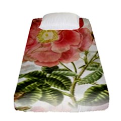 Flowers-102 Fitted Sheet (single Size)