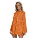 Orange-chaotic Round Neck Long Sleeve Bohemian Style Chiffon Mini Dress View2