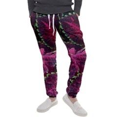 Abstract Beautiful Beauty Bright Men s Jogger Sweatpants by Semog4