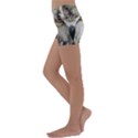 Vector Hand Painted Owl Kids  Lightweight Velour Yoga Shorts View2