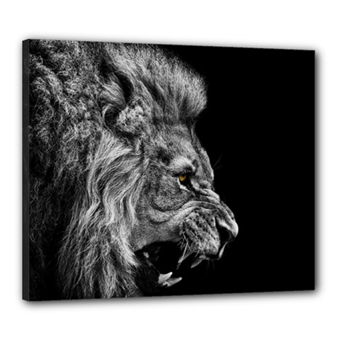 Angry Lion Black And White Canvas 24  X 20  (stretched) by Cowasu