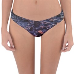 Twilight Treasures: Rocky Beachscape  Reversible Hipster Bikini Bottoms