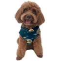 Seamless-pattern-owls-dreaming Dog Sweater View1