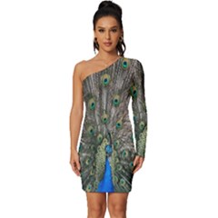 Peacock-feathers1 Long Sleeve One Shoulder Mini Dress by nateshop