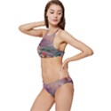 Abstract Flowers  Banded Triangle Bikini Set View2