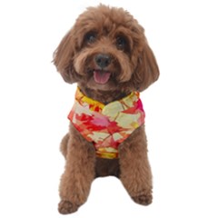 Monotype Art Pattern Leaves Colored Autumn Dog Sweater