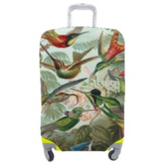 Humming Birds Trochilidae Luggage Cover (medium) by Pakjumat