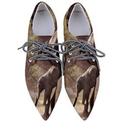 Baby Elephant Watering Hole Pointed Oxford Shoes by Sarkoni