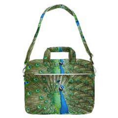 Peafowl Peacock Macbook Pro 16  Shoulder Laptop Bag by Sarkoni