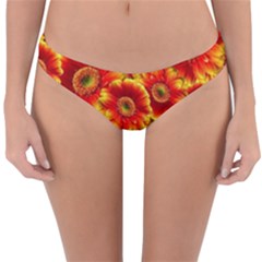 Gerbera Flowers Blossom Bloom Reversible Hipster Bikini Bottoms