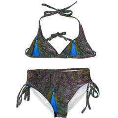 Bird Peacock Feathers Kids  Classic Bikini Set