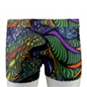 Psychedelic Digital Art Artwork Landscape Colorful Men s Boxer Briefs View4