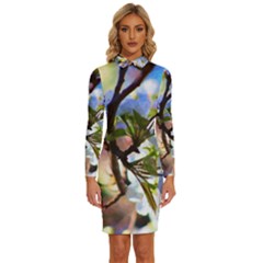 Springtime Pear Tree Blossoms Long Sleeve Shirt Collar Bodycon Dress