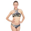 Epic Armored Cat Warrior High Neck Bikini Set View1