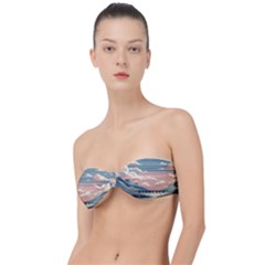 Artwork Painting Sculpture Nature Classic Bandeau Bikini Top  by Salmanaz77