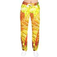 Leaves Plant Pattern Croton Nature Women Velvet Drawstring Pants by Sabxi