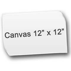 Canvas 12  x 12  Icon