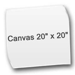 Canvas 20  x 20  Icon