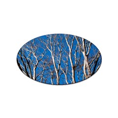 Trees On Blue Sky 100 Pack Sticker (oval)